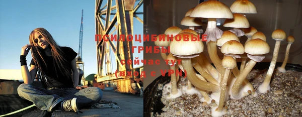 MESCALINE Баксан