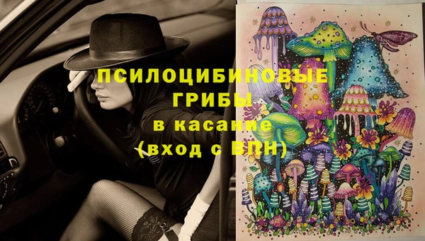 молекула духа Аркадак