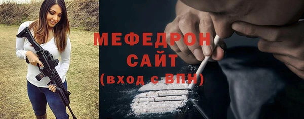индика Няндома