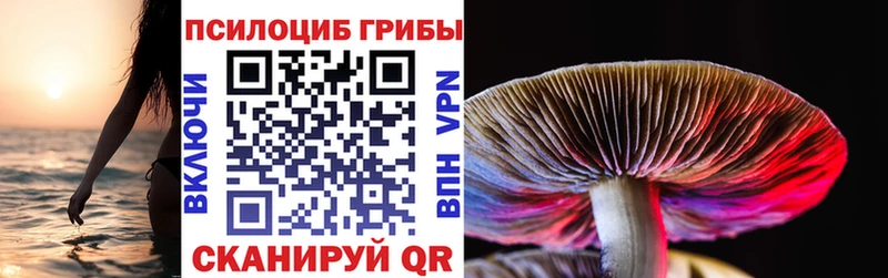 наркошоп  Майкоп  Псилоцибиновые грибы мухоморы 