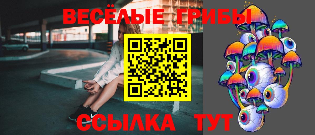 Майкоп  Псилоцибиновые грибы ЛСД  Галлюциногенные грибы GOLDEN TEACHER  Вход с VPN 