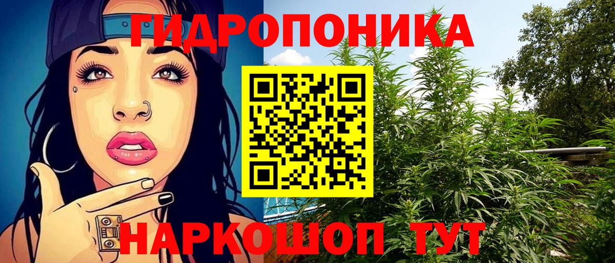 Шишки марихуана THC 21% Майкоп
